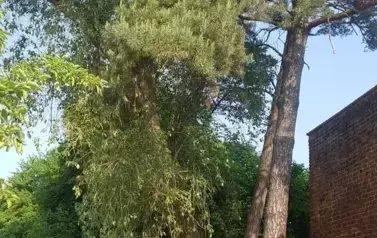 20230525_090715