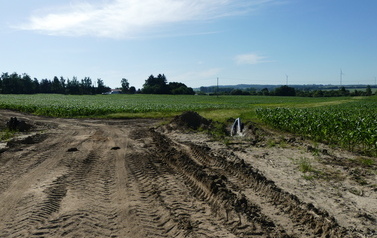P1110359