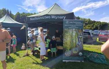 IMG-20260802-WA0043