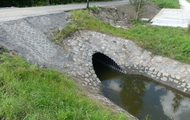 P1110593
