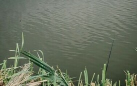 Wędkarski Dzień Dziecka 2024 26