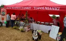 Dożynki 2025 46