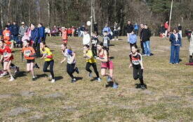 Mistrzostwa Wojew&oacute;dztwa w Biegach Przełajowych 14.03.26 14