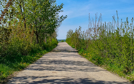 IMG_20260511_102005