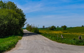 IMG_20260511_101933