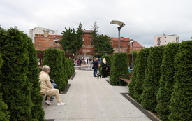 Dni Rodziny 2026 16