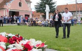 DzWiMWP_ZP_12072026_116