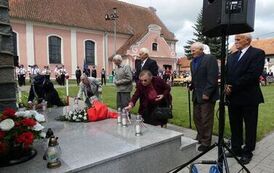DzWiMWP_ZP_12072026_084