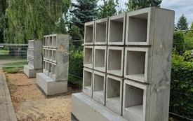 IMG-20260807-WA0004