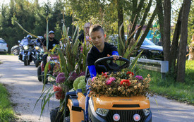 46-IMG_8379