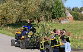 33-IMG_8405