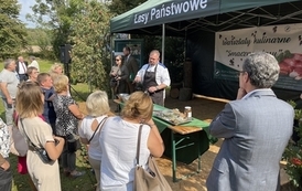 47653-3168-promocja-dziczyzny-13-3