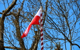 Pomnik - Ofiarom Katynia 2022 47