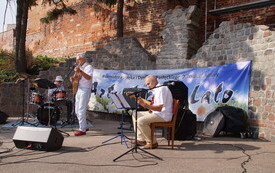 ARTYSTYCZNE LATO PASŁĘK 2022 - KNITTER'S JAZZ BAND 14.08.22 5