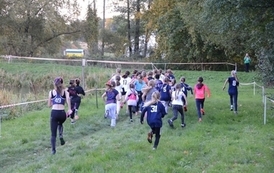 52383-3739-przelaje-w-parku-ekologicznym-0-2