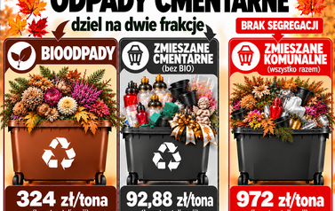 nagł&oacute;wek