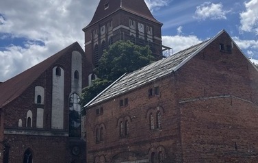 DTYF6648