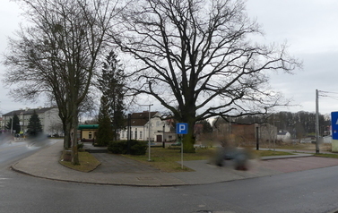 P1010202
