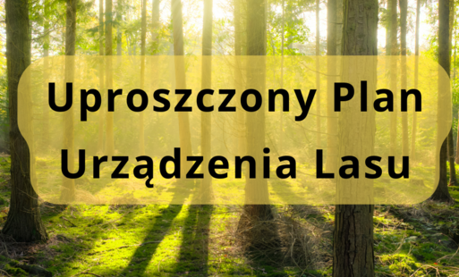 Zdjęcie do Informacja dla właścicieli las&oacute;w o wyłożeniu do publicznego wglądu projektu Uproszczonego Planu Urządzenia Lasu 