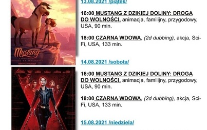 Zdjęcie do KINO ZAMKOWE ZAPRASZA