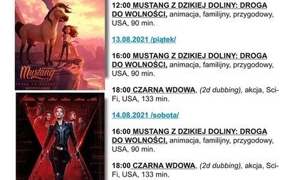 Zdjęcie do KINO ZAMKOWE ZAPRASZA