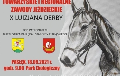 Zdjęcie do TOWARZYSKIE i REGIONALNE ZAWODY JEŹDZIECKIE