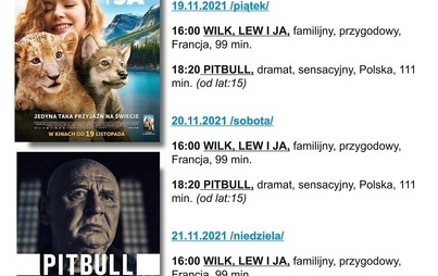 Zdjęcie do KINO ZAMKOWE ZAPRASZA