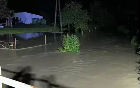 Zdjęcie do Elszka zn&oacute;w wylała