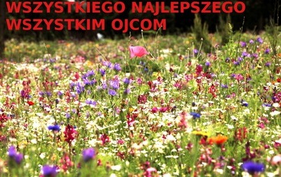 Zdjęcie do Dzień Ojca 2021