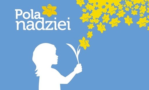 Zdjęcie do Pola Nadziei dla Hospicjum Elbląskiego w niedzielę....