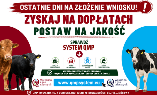 Zdjęcie do Ekoschemat &bdquo;Dobrostan zwierząt&rdquo; - dodatkowe pieniądze dla hodowc&oacute;w z QMP &ndash; tylko do 1 czerwca!