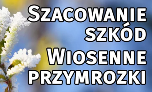 Zdjęcie do Informacja dla rolnik&oacute;w - szacowanie szk&oacute;d przymrozki wiosenne