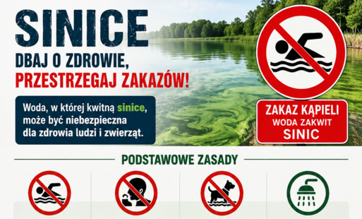 Zdjęcie do UWAGA!!! Sinice w wodzie &ndash; kąpielisko czasowo zamknięte