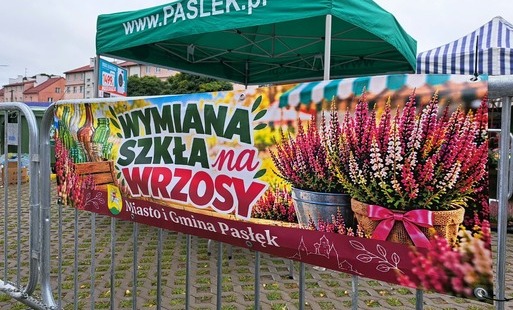 Zdjęcie do 1,66 tony szkła zebrano podczas akcji &bdquo;Wymiana szkła na wrzosy&rdquo;