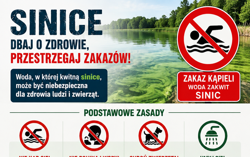Zdjęcie artykułu z dnia 13-08-2026