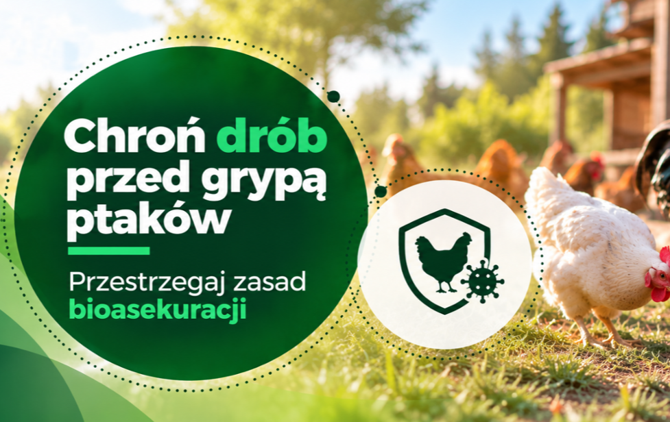 Zdjęcie artykułu z dnia 13-10-2026